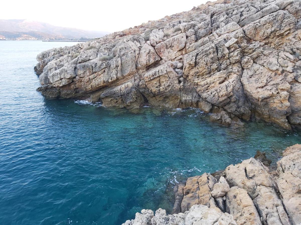 Le Grand Bleu Lejlighed Sitia  Eksteriør billede